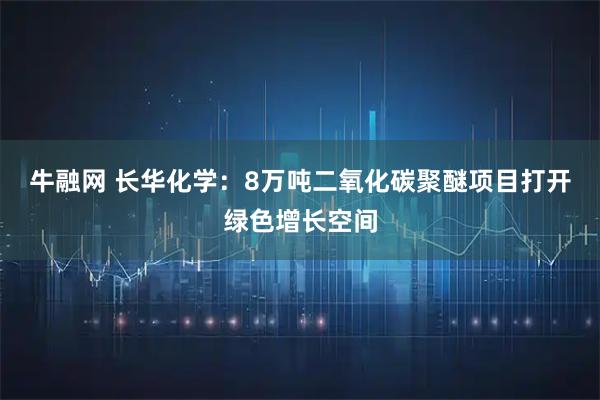 牛融网 长华化学：8万吨二氧化碳聚醚项目打开绿色增长空间
