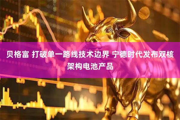 贝格富 打破单一路线技术边界 宁德时代发布双核架构电池产品
